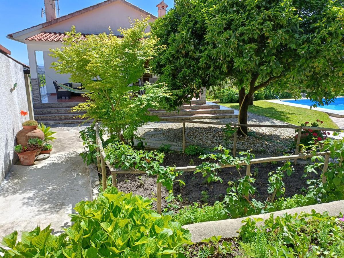 Casa Da Gardunha Villa Corticada  Exteriör bild
